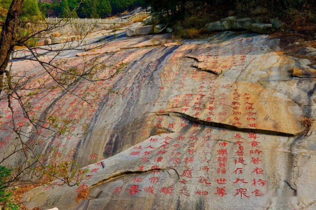 梁某某判了!家住2楼以上的都看看